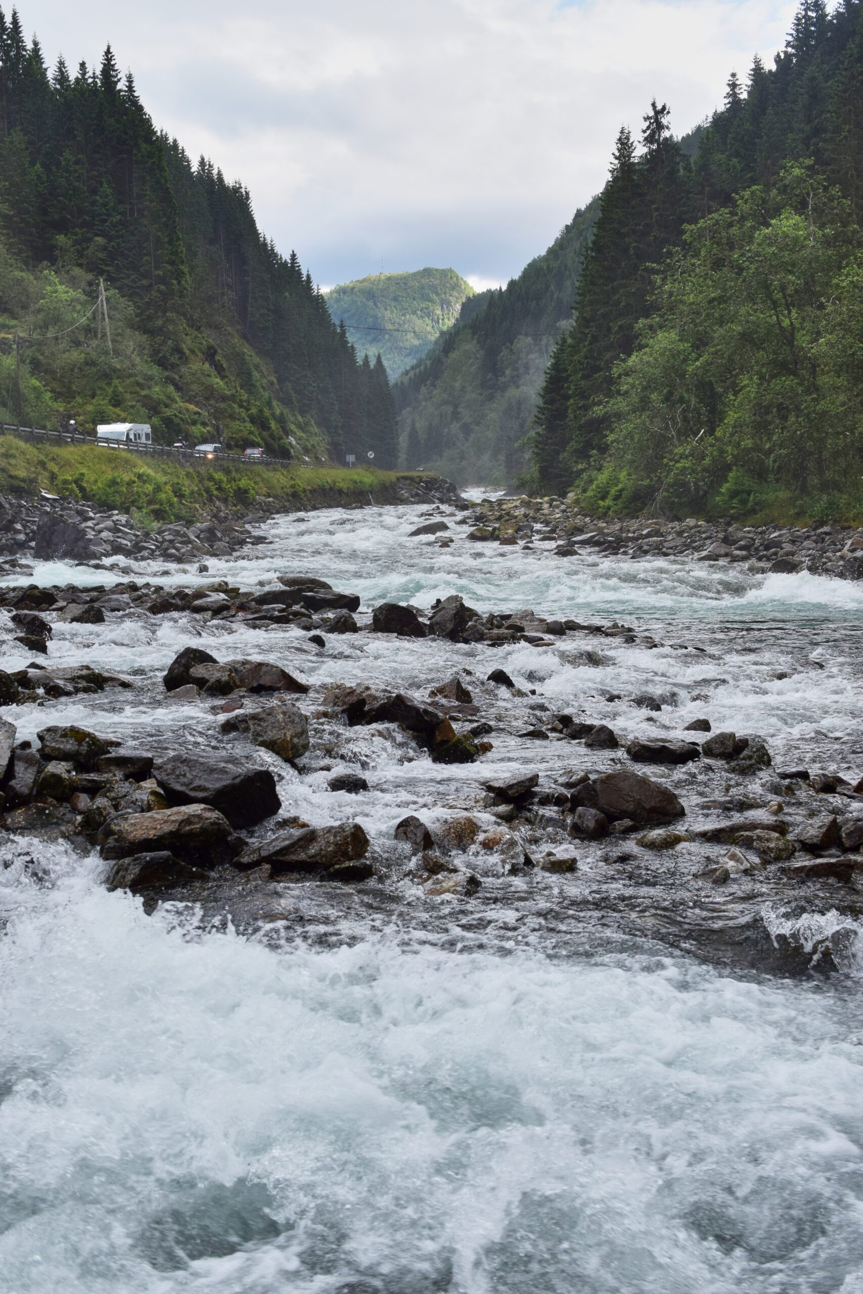 A vertical shot of water flowing in between the rocks in the middle of trees under a cloudy sky